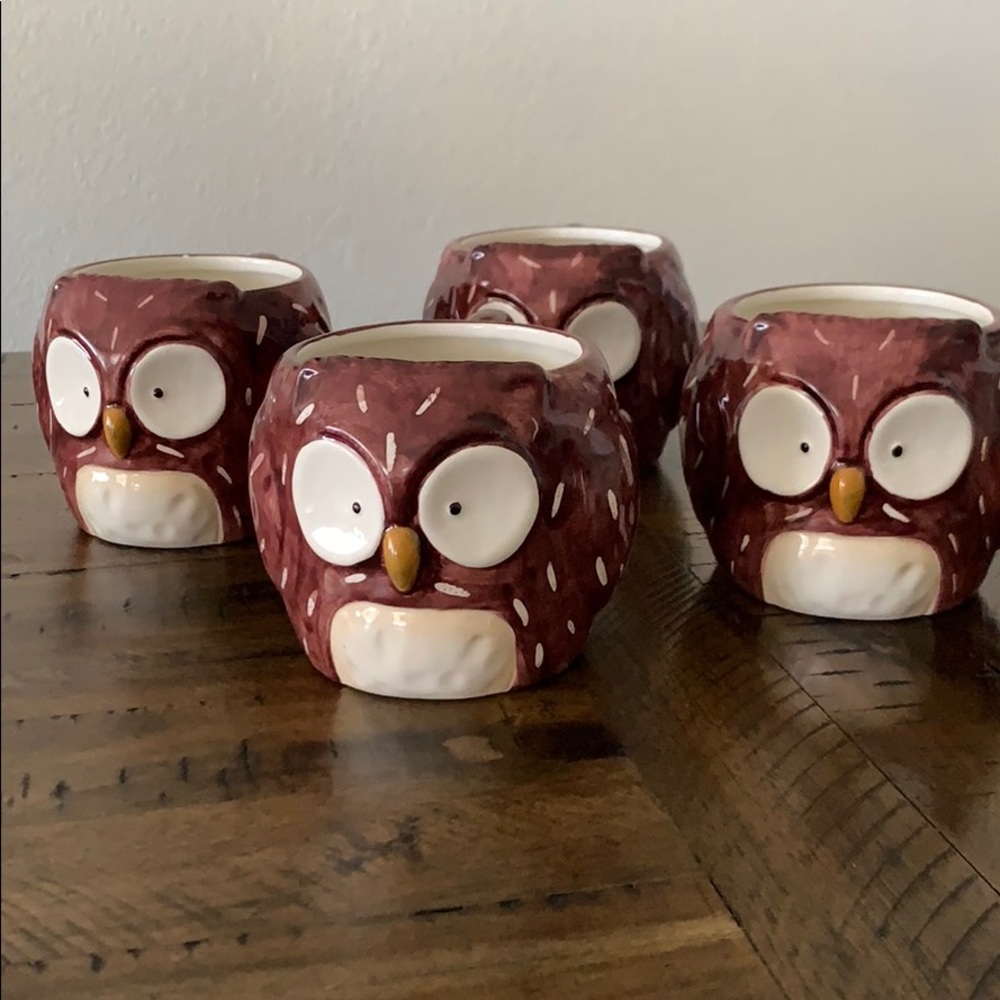Set of 4 pier 1 Owl Mugs